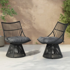 Springe Wicker Outdoor Lounge Chair with Cushions outdoor furniture, garden bench