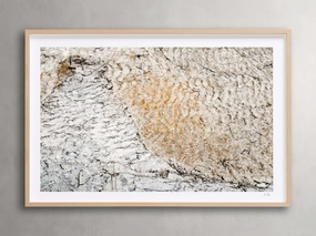 Stone Composition I Framed Print