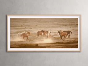 The Great Plains I Framed Print