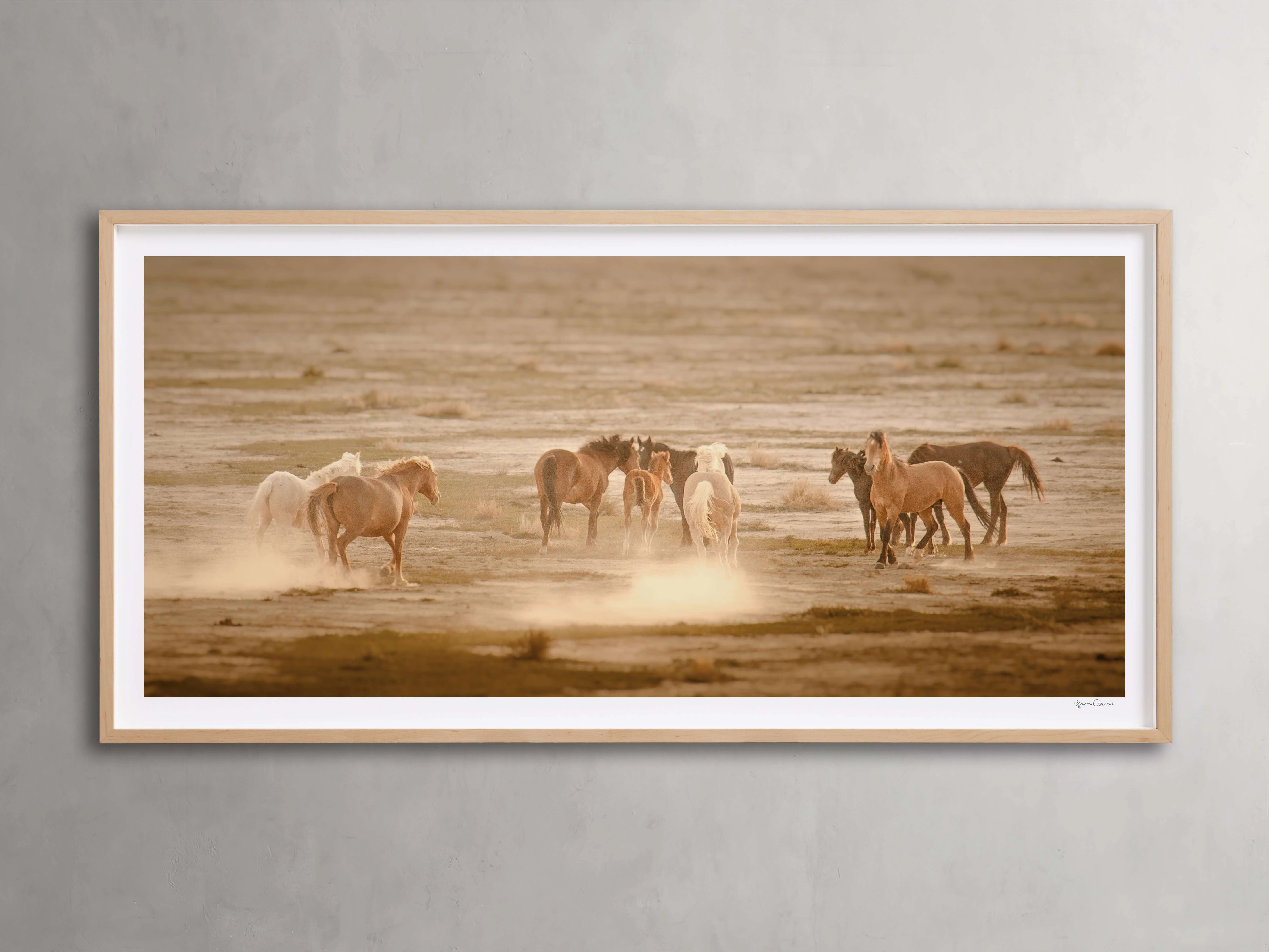 The Great Plains I Framed Print