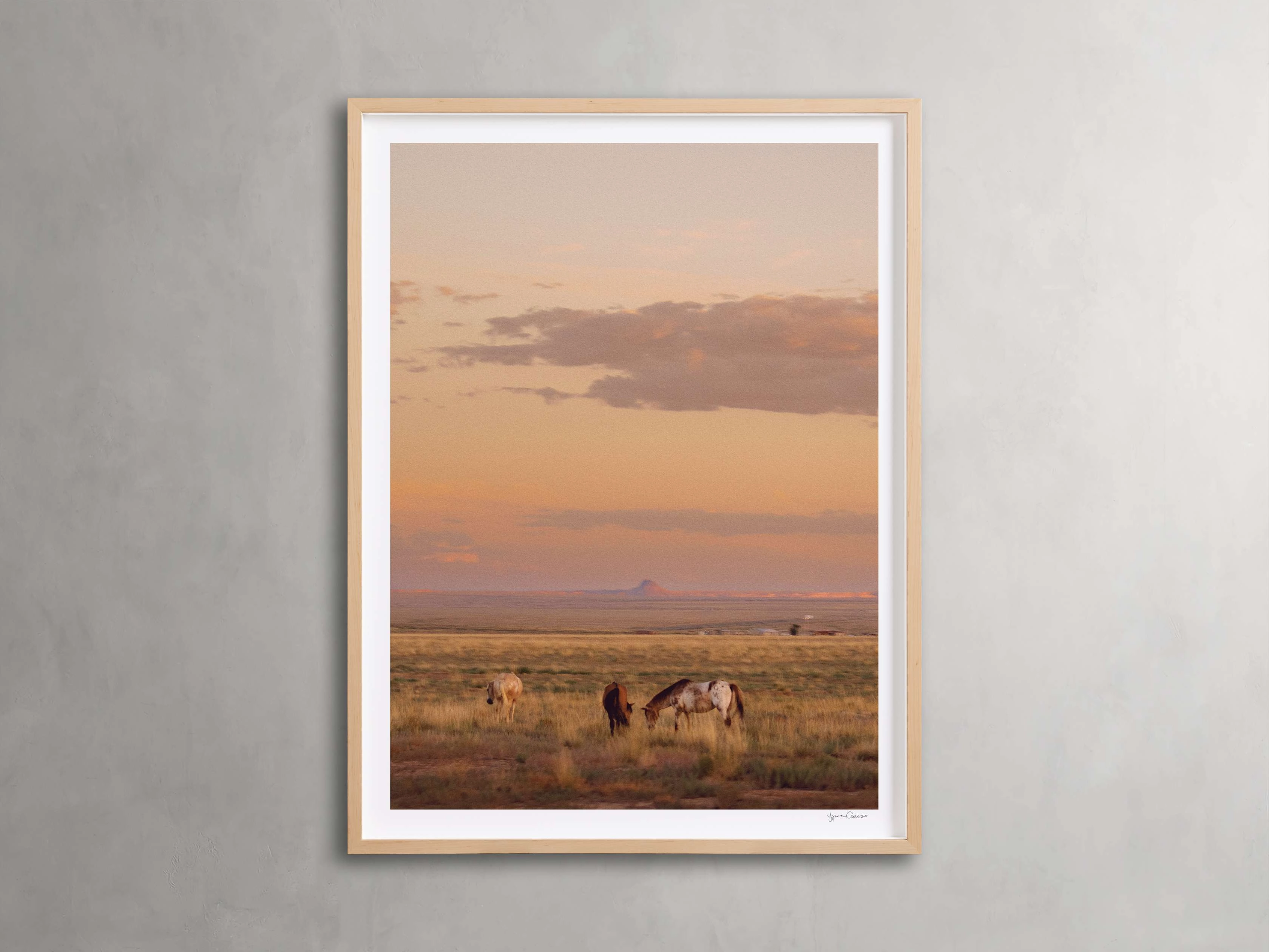 The Great Plains IV Framed Print