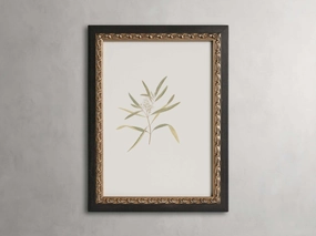 Thistle Framed Print