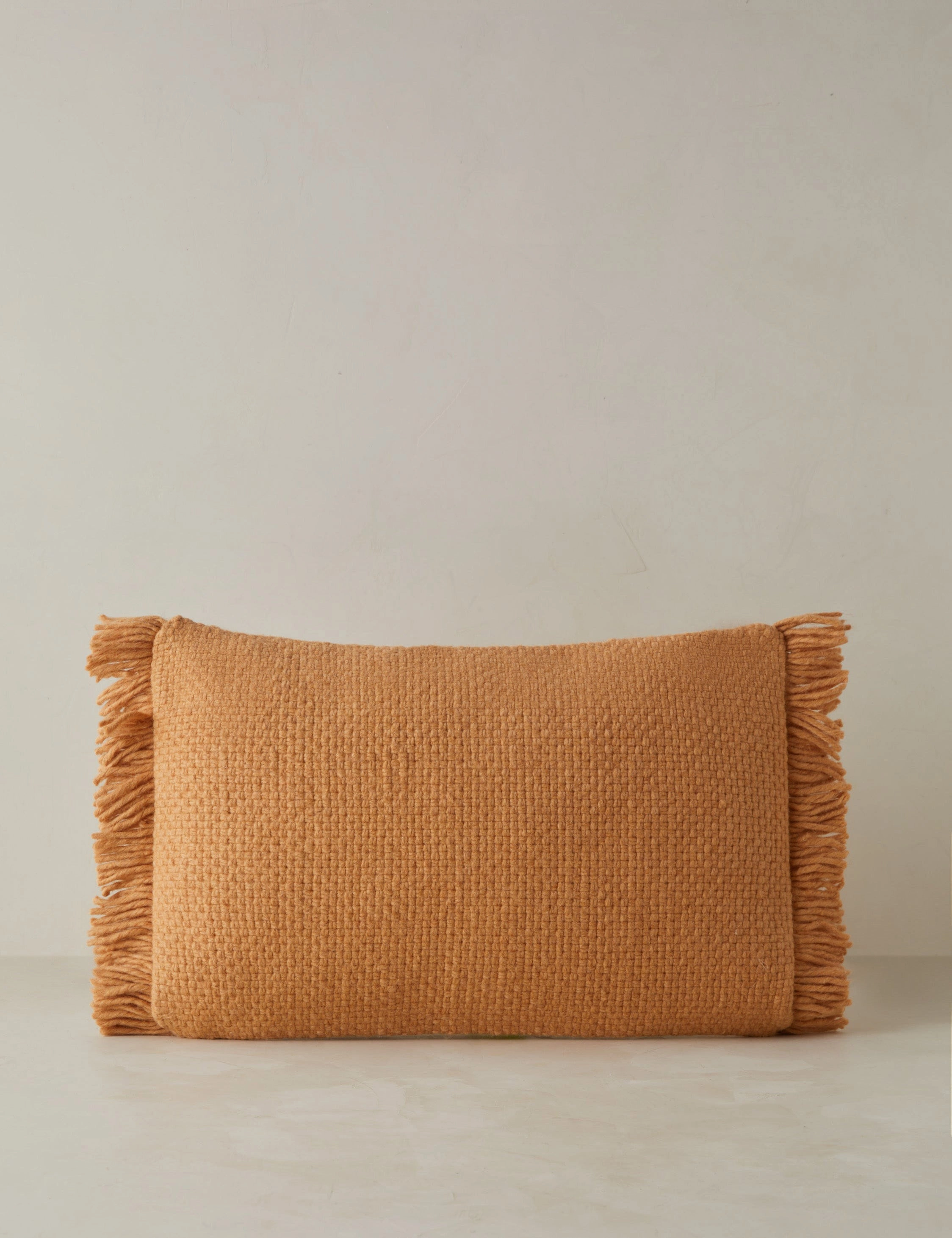 Thorpe Indoor / Outdoor Pillow