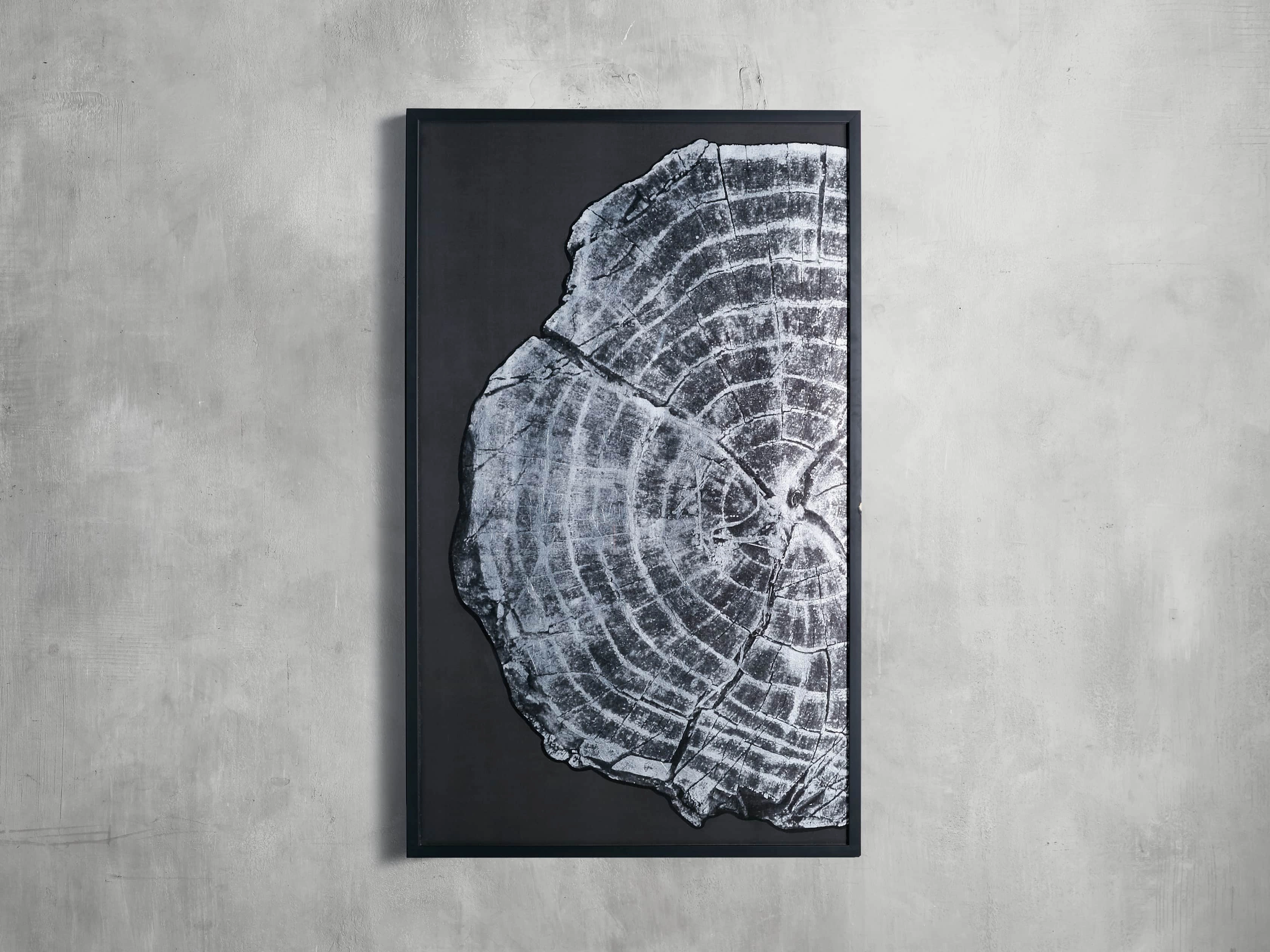 Tree Ring I Framed Print