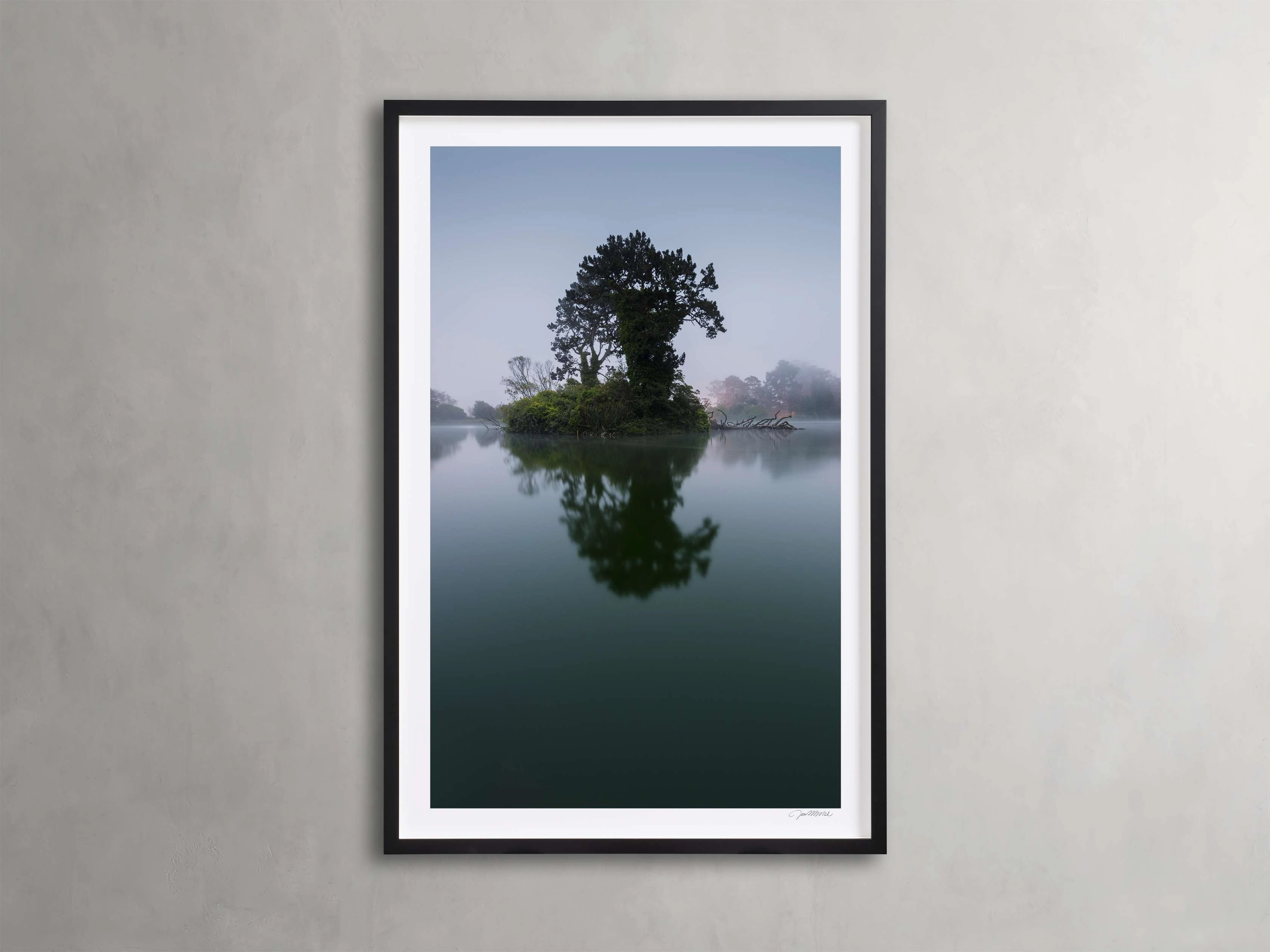 Trees & Shadows II Framed Print