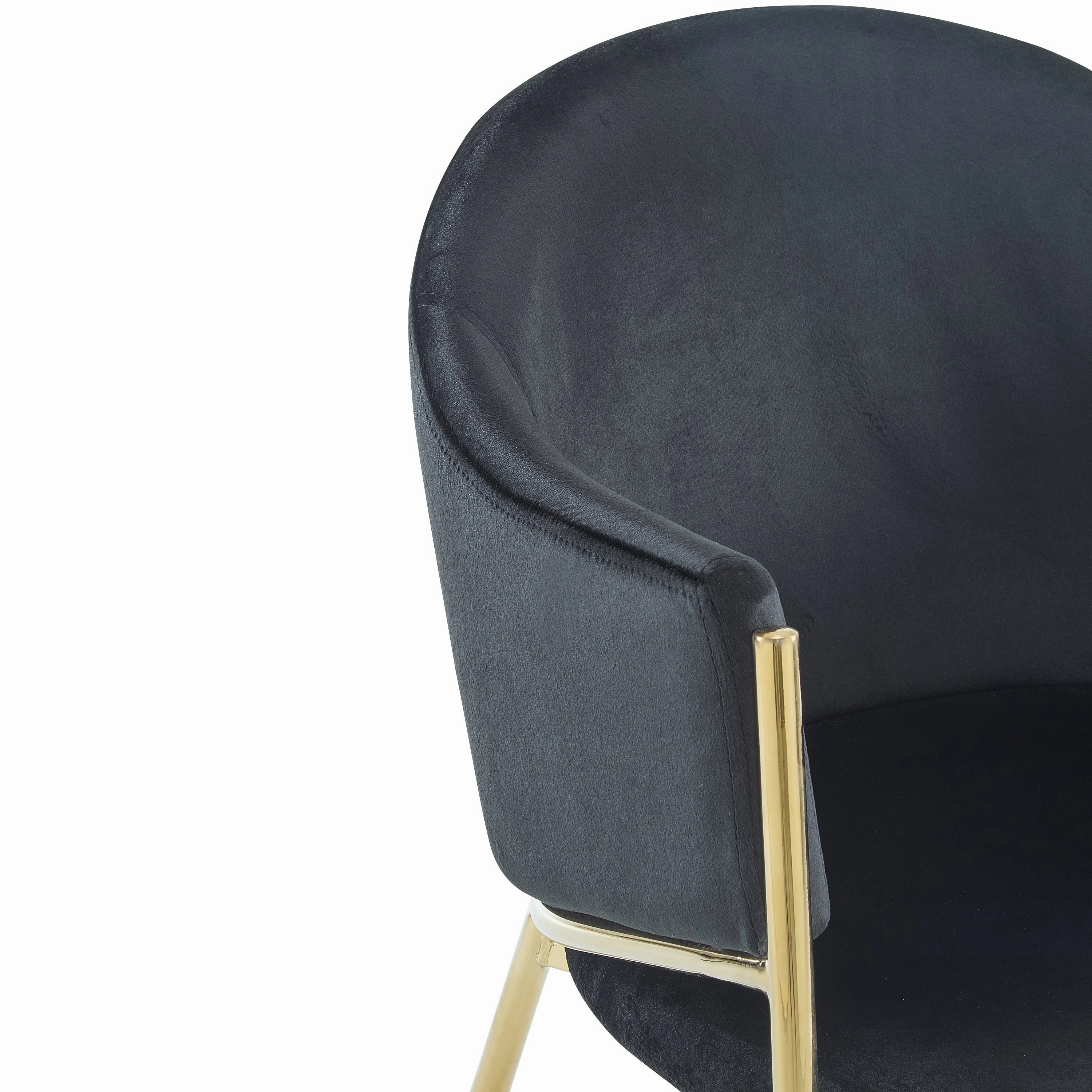 Velvet Dining Chairs with Gold Metal Frame, Set of 2