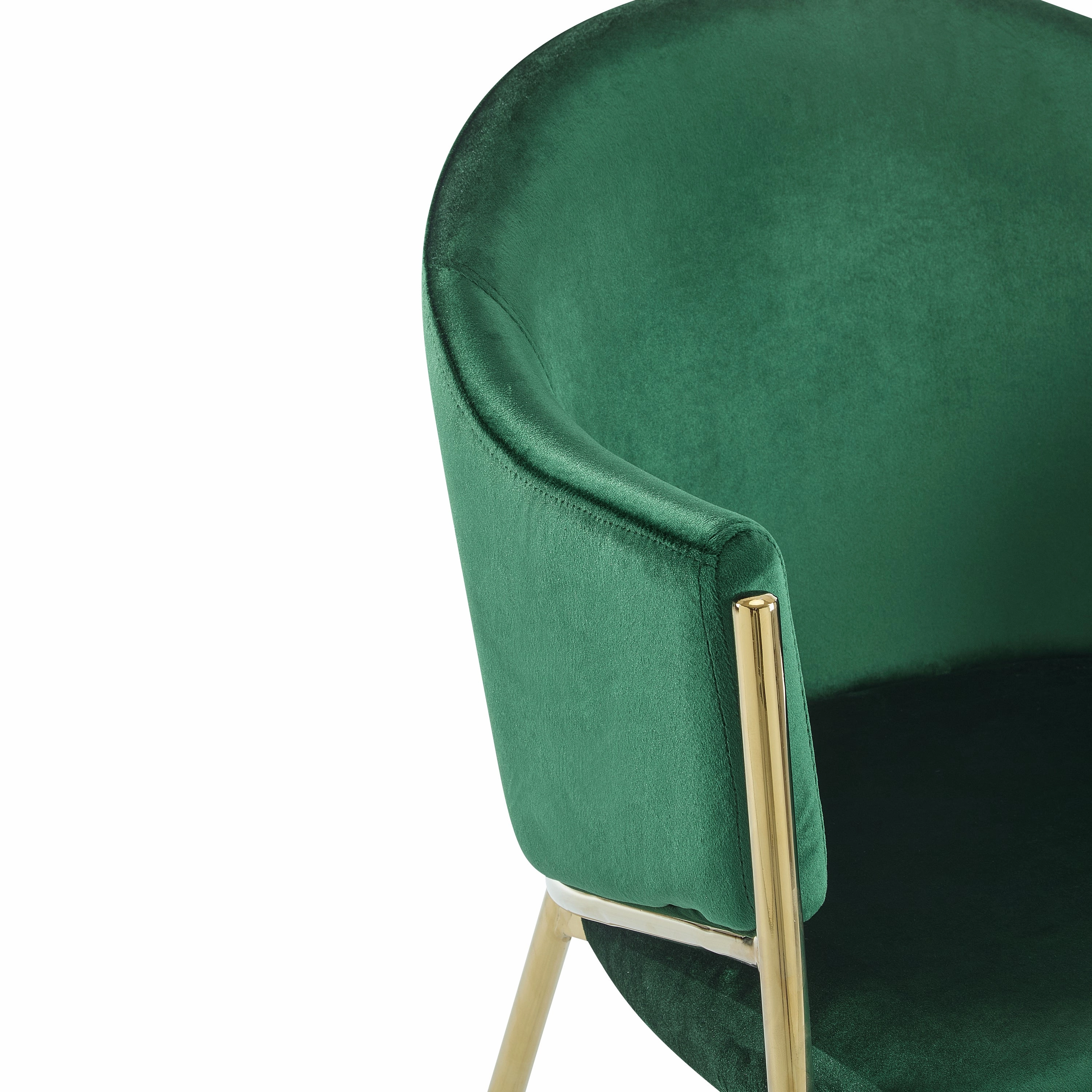 Velvet Dining Chairs with Gold Metal Frame, Set of 2