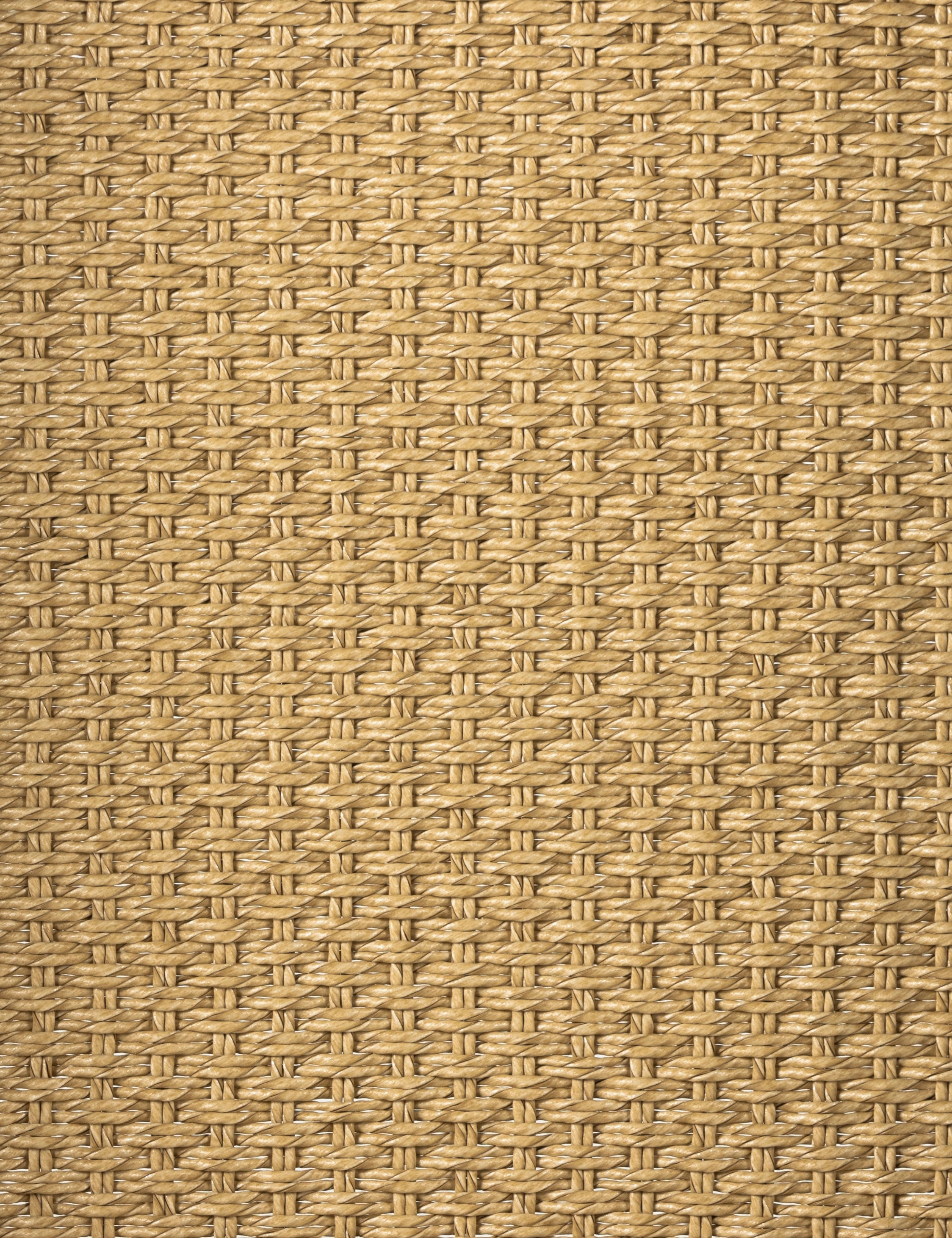 Wilkins Indoor / Outdoor Accent Chair