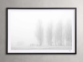 Winter I Framed Print